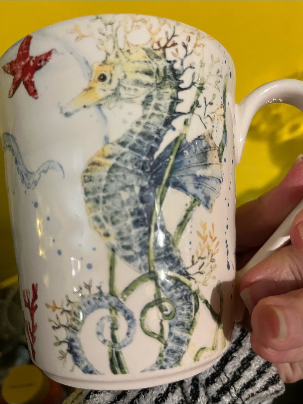 Pier 1 Ironstone Sea Life oversized mug